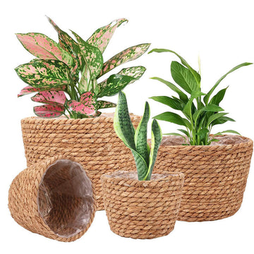 Indoor Straw Plant Basket
