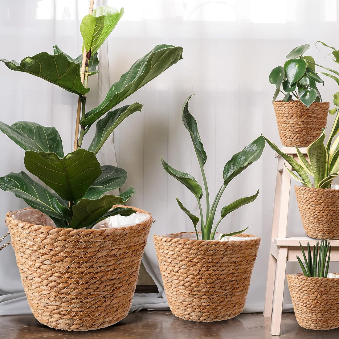 Indoor Straw Plant Basket
